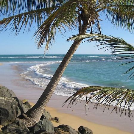 Comfortable And Affordable Deal Close To Beach And Rainforest Río Grande Exteriér fotografie