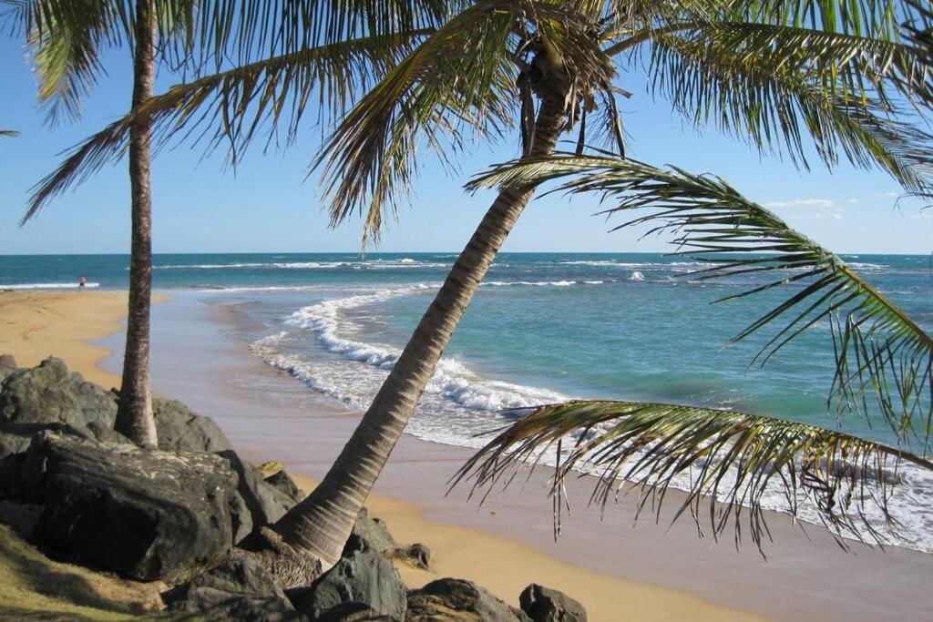 Comfortable And Affordable Deal Close To Beach And Rainforest Río Grande Exteriér fotografie